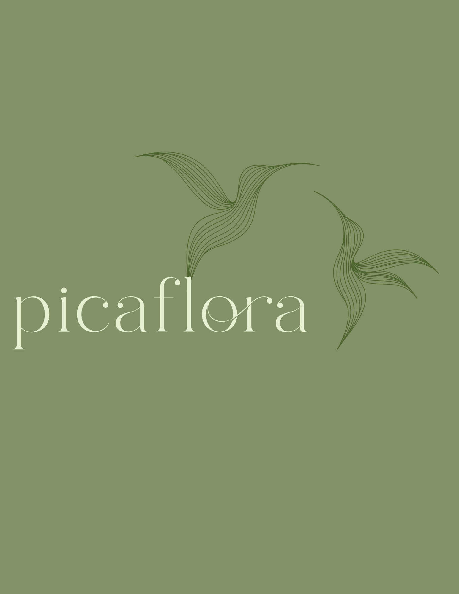 Picaflora Wholesale Flowers