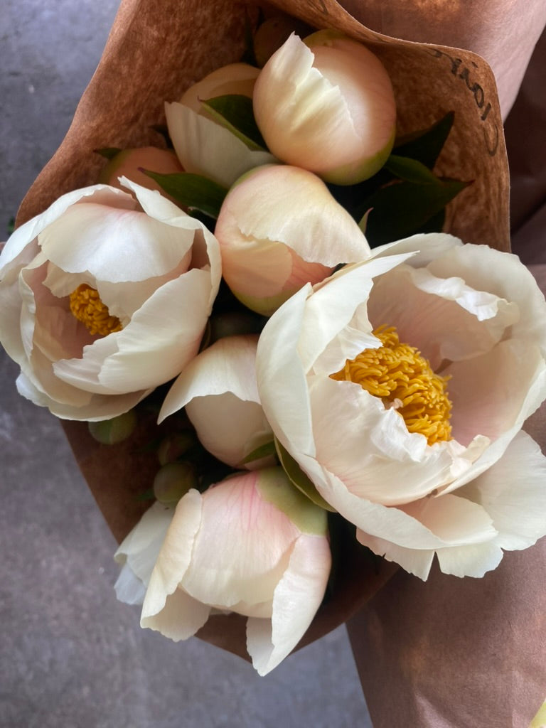 The Peony Drop