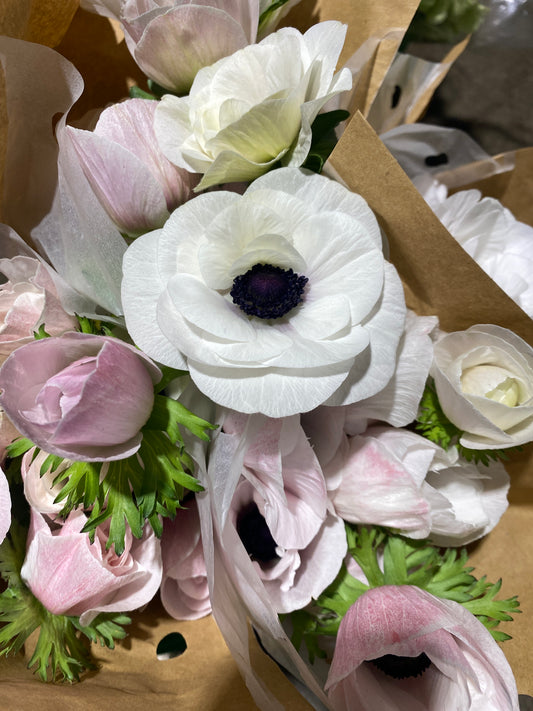 White Anemone Local | 10 stems