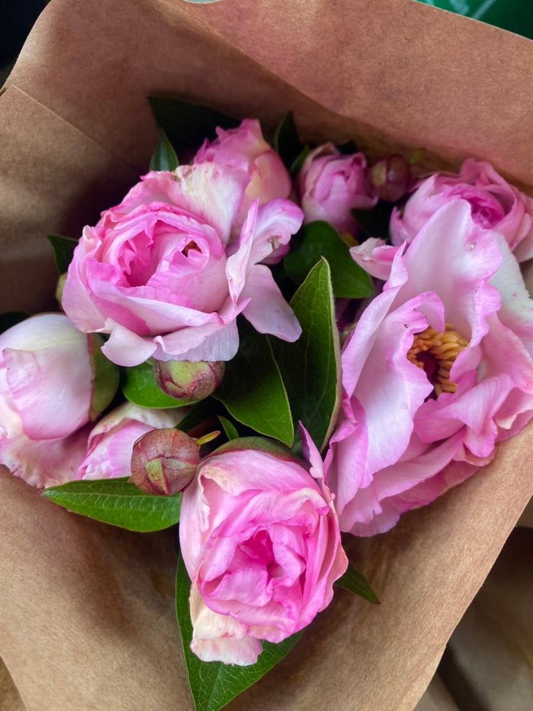 The Peony Drop