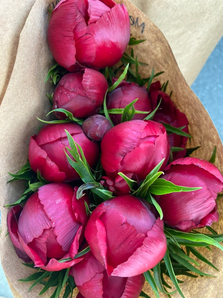 The Peony Drop