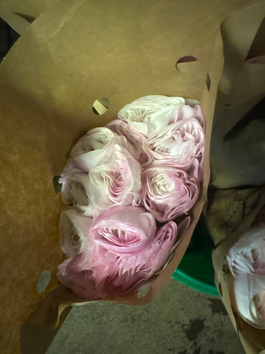 Pink Lady Ranunculus XL Cloni | 10 stems