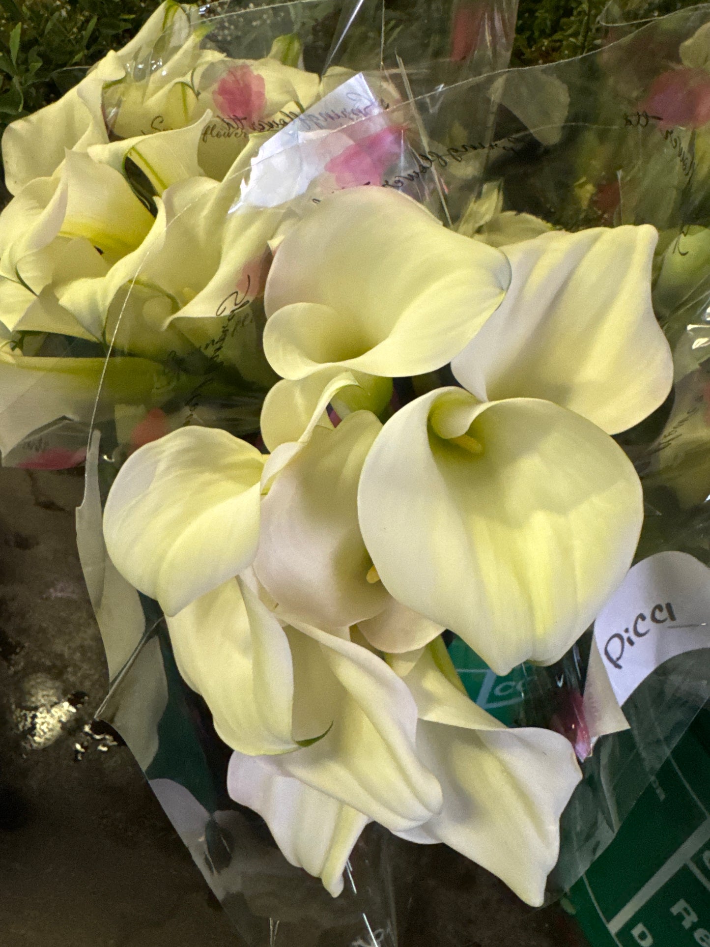 White Calla Local | 10 stems
