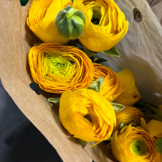 Yellow Ranunculus Cloni Local | 10 stems
