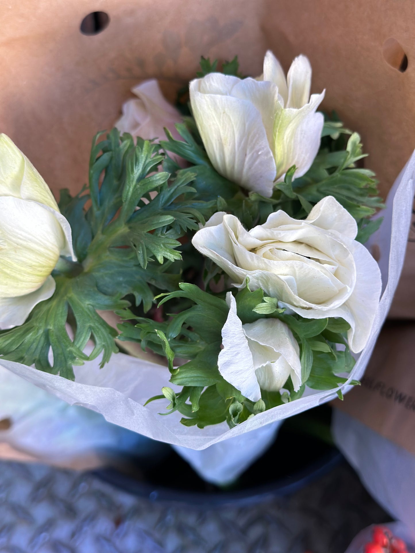 White Anemone Local | 10 stems