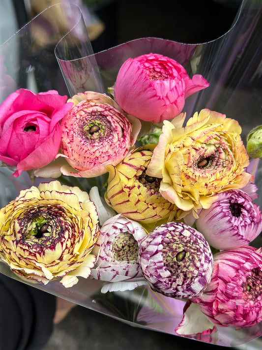 Multi Colour Ranunculus Local | 10 stems